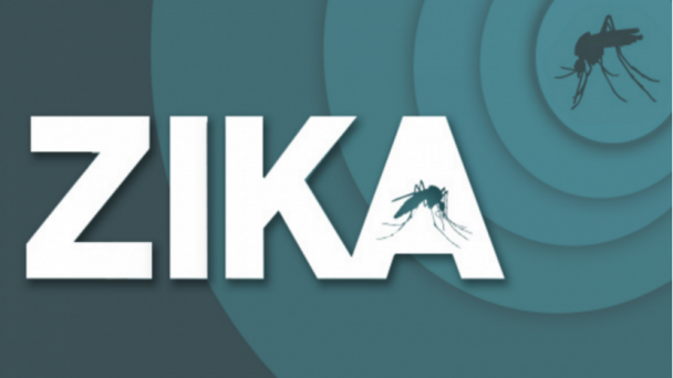 Alicia Mason Interviews Zika Risk Communication Experts